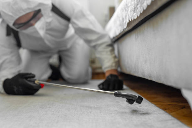 Professional Pest Control technician working in Walnut, IL