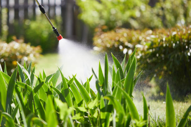 24/7 Emergency Pest Control experts in Walnut, IL
